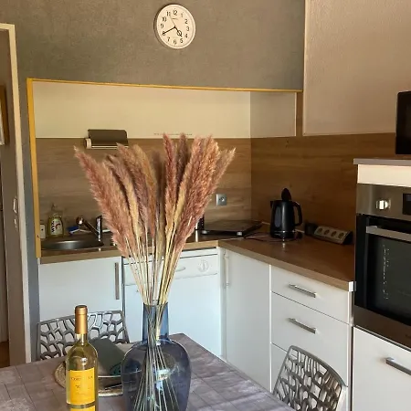 Pavillon Climatise Avec Piscine Et Terrasse En Soleil, Proche Et Village - 2 + Mezzanine - Fr-1-732-46 Holiday home *