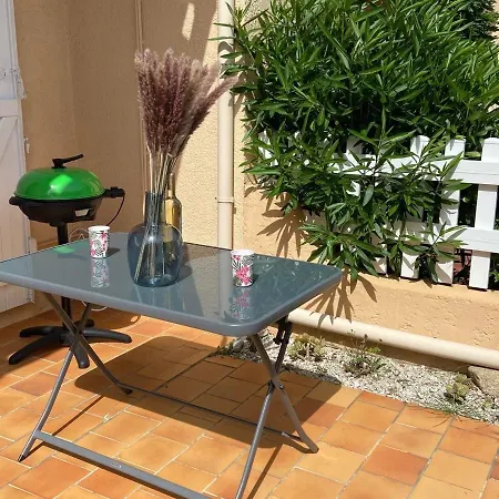Pavillon Climatise Avec Piscine Et Terrasse En Soleil, Proche Et Village - 2 + Mezzanine - Fr-1-732-46 * Argeles-sur-Mer