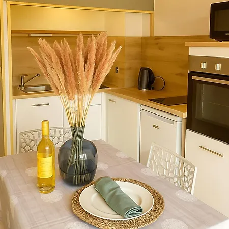 Pavillon Climatise Avec Piscine Et Terrasse En Soleil, Proche Et Village - 2 + Mezzanine - Fr-1-732-46 Holiday home *